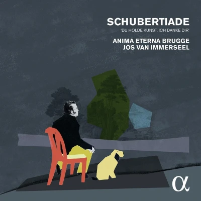Afbeelding van Anima Eterna Brugge &amp; Jos Van Immerseel Schubertiade (4 CD)