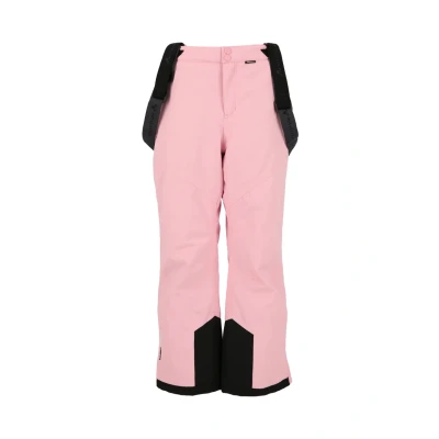 Afbeelding van WHISTLER Skihose Drizzle