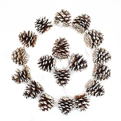 Afbeelding van TRIXES 18 stuks sneeuwgetipte hangende dennenappels sneeuw gestofte kerstversiering kerstboom decoraties ornamenten wit