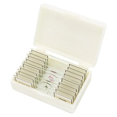 Afbeelding van Bresser Microscoop preparaten 10 stuks