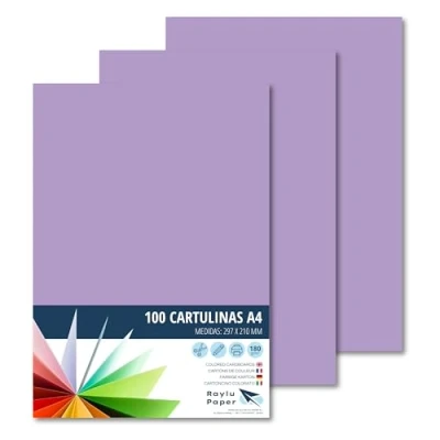 Afbeelding van Raylu Paper® A4 100 stuks violet 180 g 210 x 297 mm ideaal voor binden, kantoorwerk, tekenen, knutselen, school geschikt (violet)