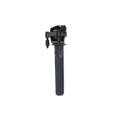 Afbeelding van Delphi Diesel Bobine GN10187 12B1