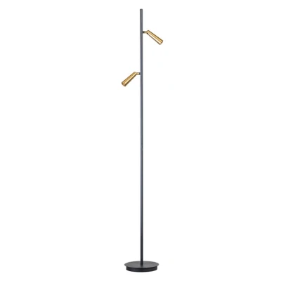 Afbeelding van ETH Barry Vloerlamp led 2x3w 2700k zwart+mat messing L200xW200xH1500mm dimbaar 2x66Lm