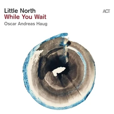 Afbeelding van Little North While You Wait (LP)