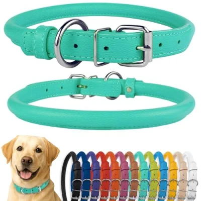 Afbeelding van CollarDirect Gerolde lederen halsband, zachte gewatteerde ronde puppy kraag, handgemaakte halsband hond kleine grote kat halsbanden 13 kleuren (16 18 inch, mint groen getextureerd)