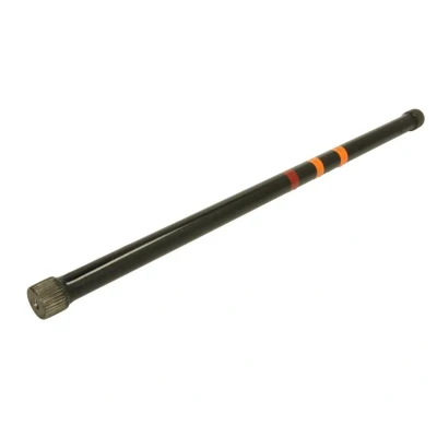 Afbeelding van Reinhoch Koepelschoor RH10 2003