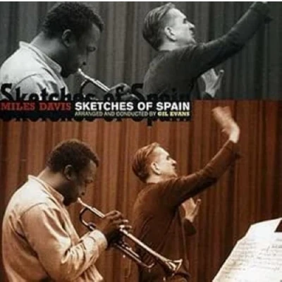 Afbeelding van Sketches Of Spain