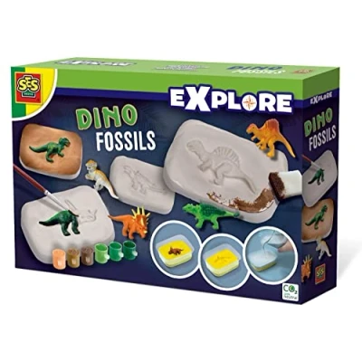 Afbeelding van Dino fossielen