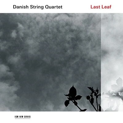Afbeelding van Danish String Quartet Last Leaf (LP)