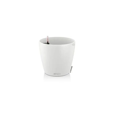Afbeelding van Lechuza Classico Color 43 Wit