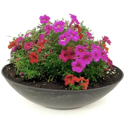 Afbeelding van Matches21 Weerbestendige plantenschaal, 45 cm, voor buiten, grote decoratieve schaal in zwart, gemarmerd als bloemenschaal, platte XXL tuinschaal bloemen, bonsai of begraafplaats, grafsieraden