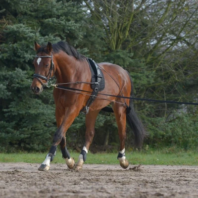 Afbeelding van Waldhausen Longeersysteem Zwart Pony/Cob