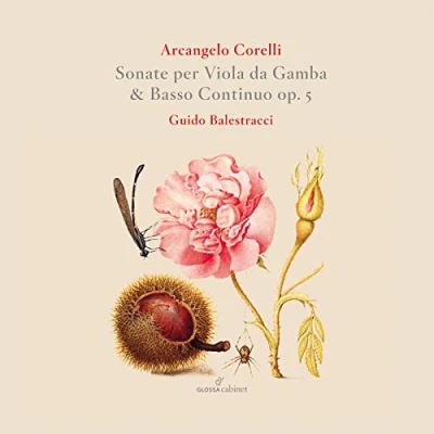 Afbeelding van Guido Balestracci Sonate Per Viola Da Gamba &amp; Basso Continuo, Op. 5 (2 CD)