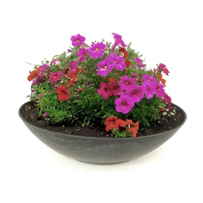 Afbeelding van matches21 weerbestendige plantenschaal voor buiten grote decoratieve schaal in zwart gemarmerd als bloemenschaal platte tuinschaal 28 cm bloemen, bonsai of begraafplaats grafsieraden