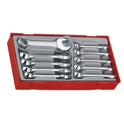 Afbeelding van TT6010M Steekringsleutels kort Tc tray 10dlg