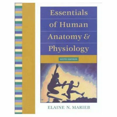 Afbeelding van Essentials of Human Anatomy and Physiology