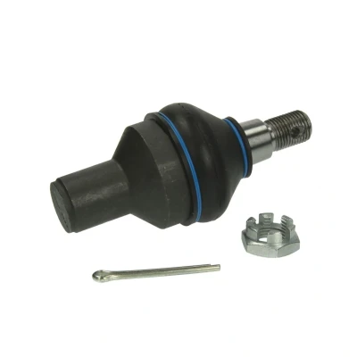Afbeelding van Moog Fuseekogel ME BJ 6287