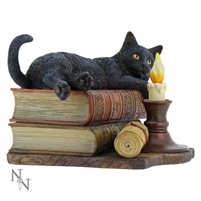 Afbeelding van Nemesis Now Witching Hour Lisa Parker beeldje 20,5 cm bruin, hars