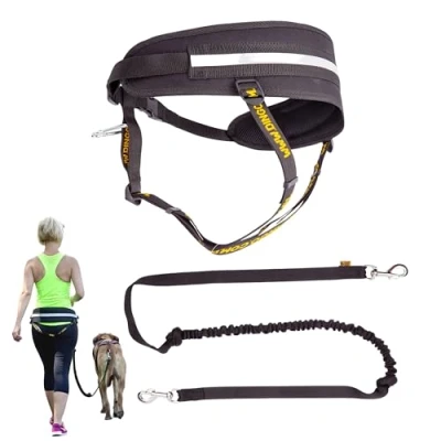 Afbeelding van Dingo Z30005 Multifunctionele loopriem + hondenriem met twee karabijnhaken schokdemper zwart canicross voor joggen de hond dogtrekking, Skijöring