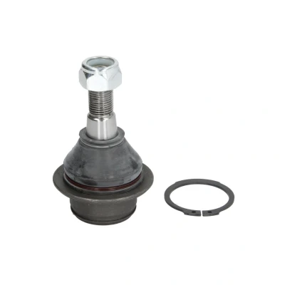 Afbeelding van Moog Fuseekogel FD BJ 0814