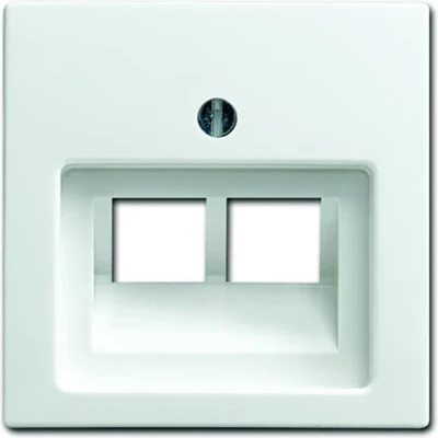 Afbeelding van Busch Jaeger Balance SI centraalplaat voor datadoos 2 x RJ45 1803 02 914