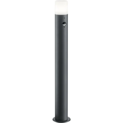 Afbeelding van Trio HOOSIC Staande buitenlamp met bewegingssensor Antraciet