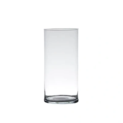 Afbeelding van Glazen bloemen cilinder vaas/vazen 25 x 12 cm transparant Vazen