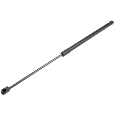 Afbeelding van NTY AE CH 009 Gasveer Motorkap rechts, Links
