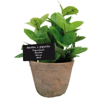 Afbeelding van Esschert Design Kunstplant/kruiden munt in oude terracotta pot 20 cm kruiden Kunstplanten