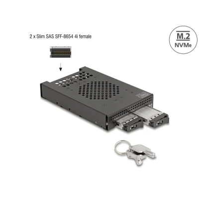 Afbeelding van Delock 3.5″ Wechselrahmen für 2 x M.2 NVMe SSD mit Slim SAS SFF 865