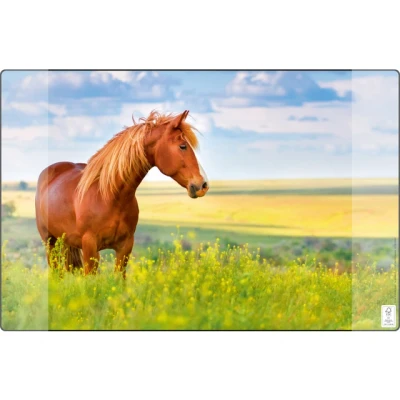 Afbeelding van Kangaro bureau onderlegger 38x58cm Paard antislip met insteekvakken K 0014D117