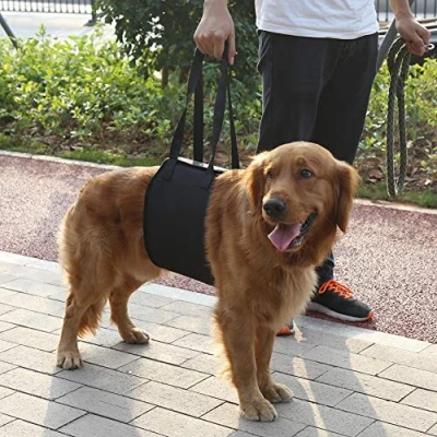 Afbeelding van Hulpriem voor huisdieren, klassiek heftuig oudere dieren of zieke honden om trappen op en af te stappen, voertuigen in uitstappen (XL)