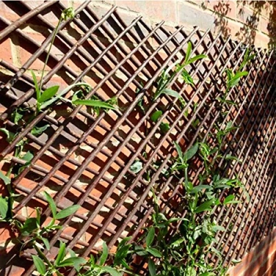 Afbeelding van Garden Mile Willow Trellis Heavy Duty houten latwerk voor klimplanten, steunpaneel bloemen, decoratieve tuinmuur, hekwerk, omheiningspanelen, 180 x 60 cm