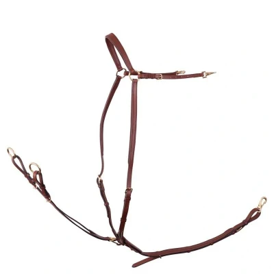 Afbeelding van BR Voortuig Rayleigh Elastiek Full Oak Zilver Bruin