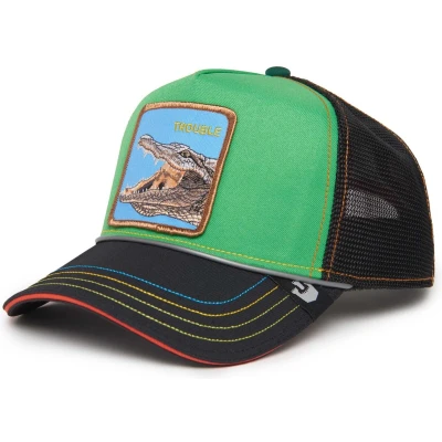 Afbeelding van Goorin Bros Pet, Heren, Maat: One Size, Green