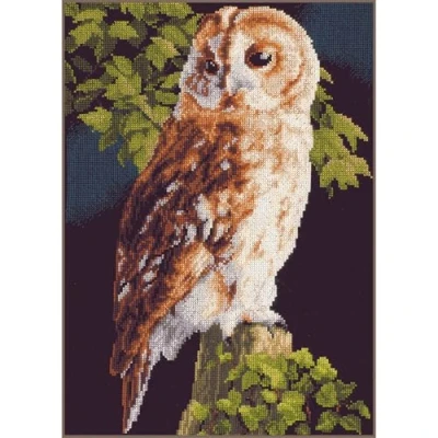 Afbeelding van Lanarte Counted Cross Stitch Kit: Mooie Rozen (Aida,W)