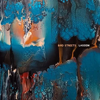 Afbeelding van Bird Streets Lagoon (2 LPs)