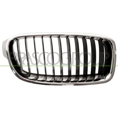 Afbeelding van Radiateurgrille PRASCO BM0282003