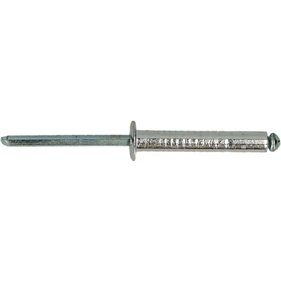 Afbeelding van 250 stuks popnagels 4,8 x 20 mm Al/St