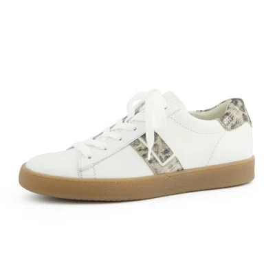 Afbeelding van Paul Green 5464