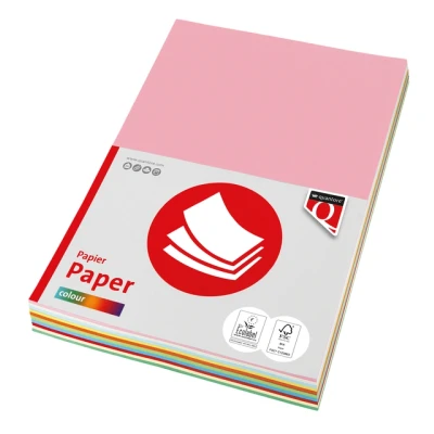 Afbeelding van Kopieerpapier Fastprint A4 80gr 10kleuren x25vel 250vel