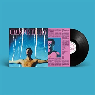 Afbeelding van Grian Chatten Chaos For the Fly (LP)
