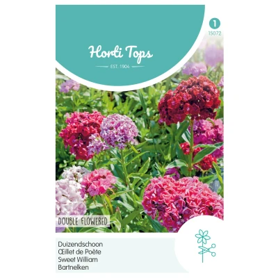 Afbeelding van Dianthus, Duizendschoon dubbelbloemig gemengd