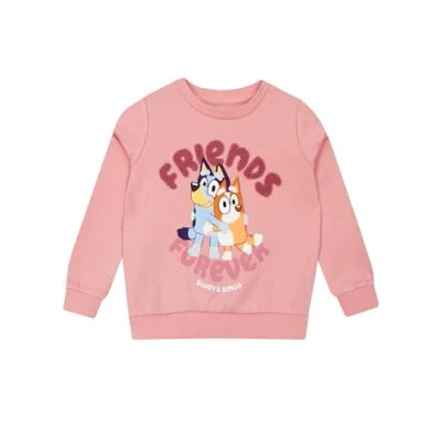 Afbeelding van Bluey Trui Meisjes Sweater Bingo Top Meisjeskleding Roze 122