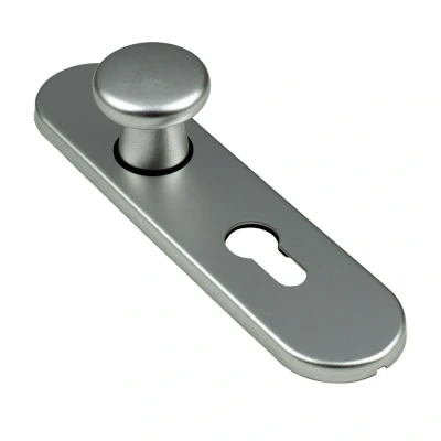 Afbeelding van Ami Knopkortschild diameter knop 40mm ovaal 177x44x6,5mm PC 55 aluminium F 1