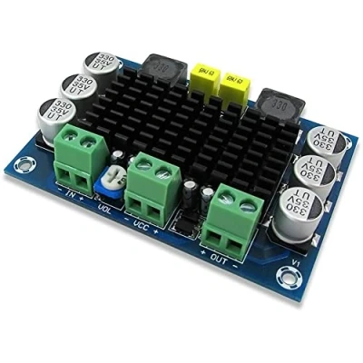 Afbeelding van Fasizi DC 12V 24V TPA3116 D2 100W Mono Channel Digitale Audio Eindversterker Board voor Auto