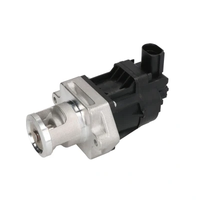 Afbeelding van EGR klep DELPHI EG10478