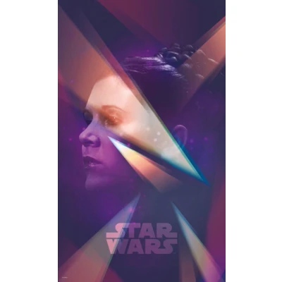 Afbeelding van Komar Vliesbehang Star Wars Female Leia (1 stuk)