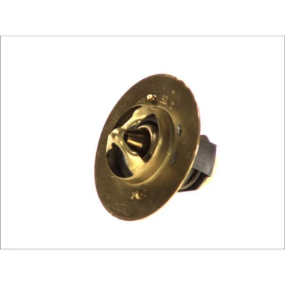 Afbeelding van Thermotec Thermostaat D2DA003TT