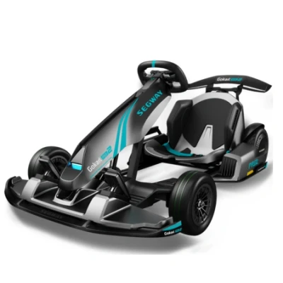 Afbeelding van SEGWAY GOKART PRO 2